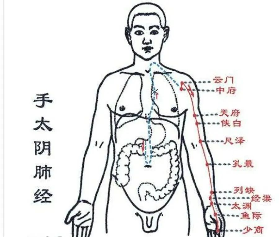 xue.jpg