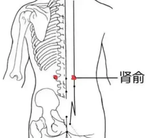 1762498106583519.png image.png