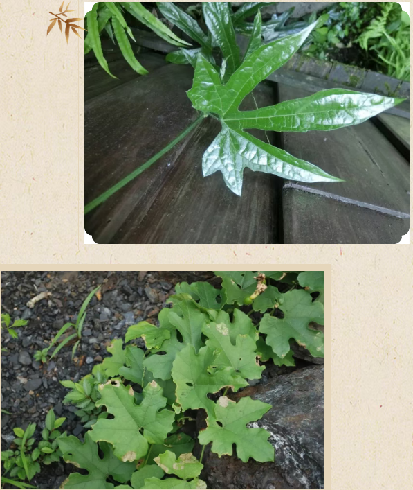 1764323280230285.png image.png