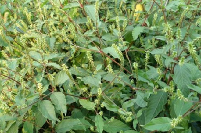 1770276919310908.png image.png