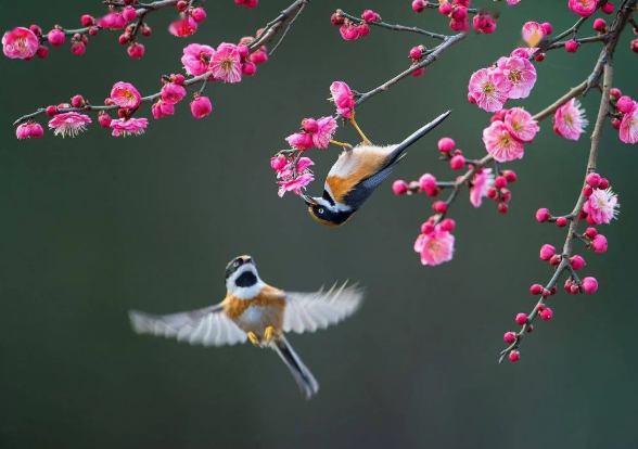 1770277577414195.png image.png