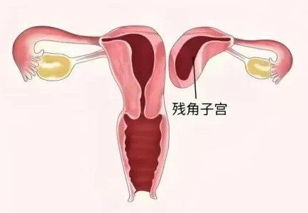 1772090410694279.png image.png