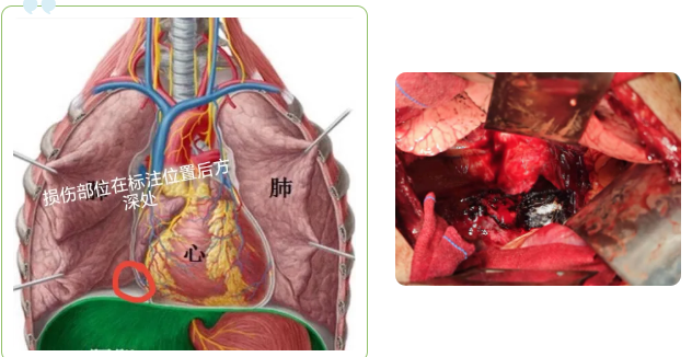 1774421555929515.png image.png